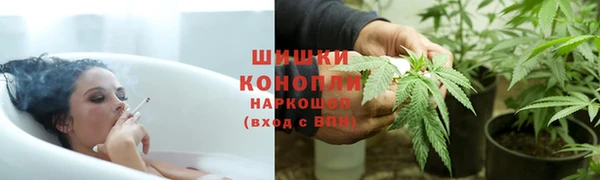 винт Бронницы