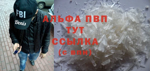 мдпв Бородино