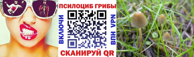 наркота  OMG ТОР  Галлюциногенные грибы Psilocybe  Дагестанские Огни 